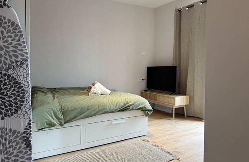 Eindhoven Apartamento | The Cozy Nest Stylish and Serene City Studio