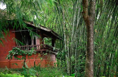 Kolagappara Complejo | The Crescent Wayanad Heritage Pool Resort