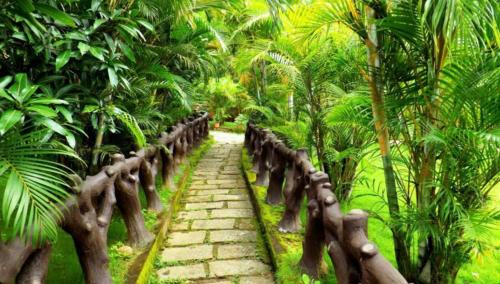 Kolagappara Complejo | The Crescent Wayanad Heritage Pool Resort