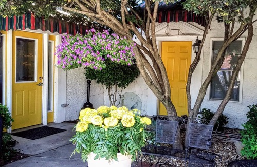 Cowan Casa | The dog-friendly cozy apARTment