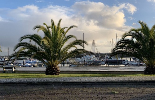 Camparca Casa | The Domaine de L'Orangeraie
