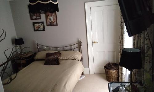Dorchester Casa | The Dorchester Nook