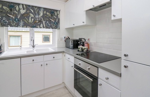 New Quay Cabaña | The Dragonfly