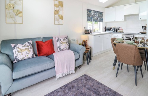 New Quay Cabaña | The Dragonfly