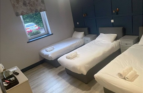Mallow Cama Y Desayuno | The Dutch Tulip Hotel