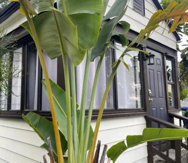 Buena Vista Casa | The eden house