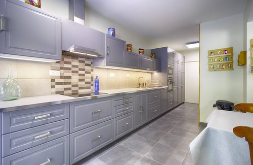 Orange Casa | The Eucalyptus House