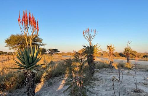 Grootfontein Cama Y Desayuno | The Farm Shop