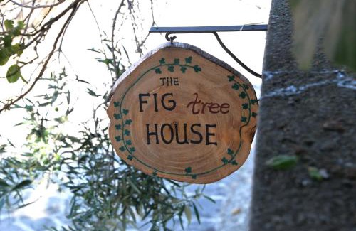 Samothrace Casa | The fig tree house