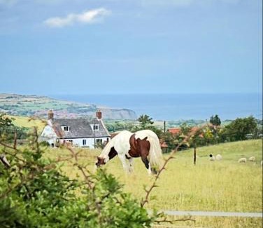 Briggswath Casa | The Flask Inn, Fylingdales, Whitby