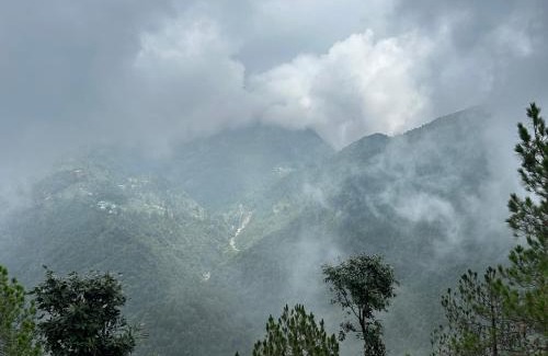 Naddi Casa | The fog and flames