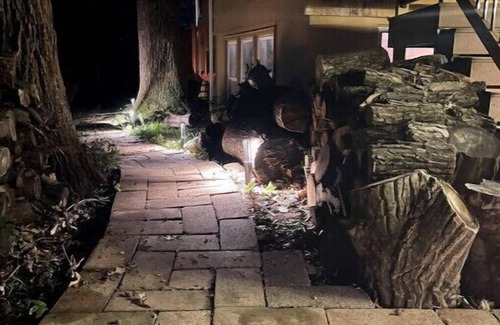 Ames Casa | The Fox Den