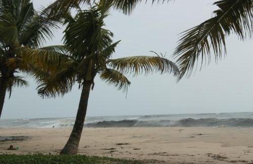 Mararikulam Casa | The Frangipani Marari Beach