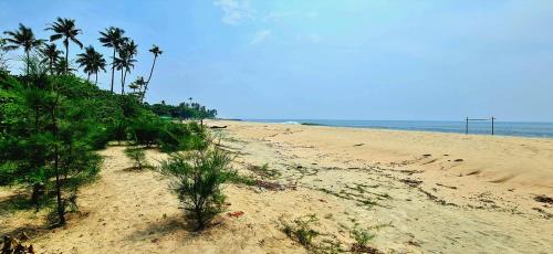 Mararikulam Casa | The Frangipani Marari Beach