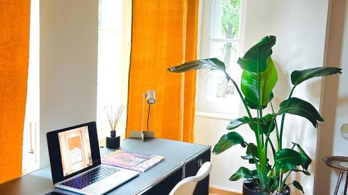 Steinhausen Apartamento | The Gallery