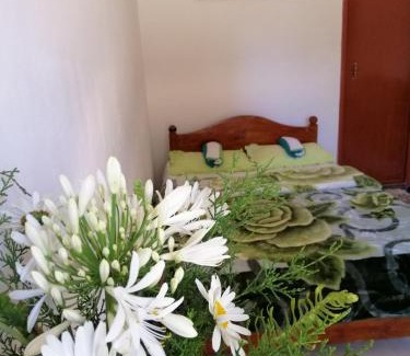 Nuwara Eliya Casa | The Galways Edge Homestay