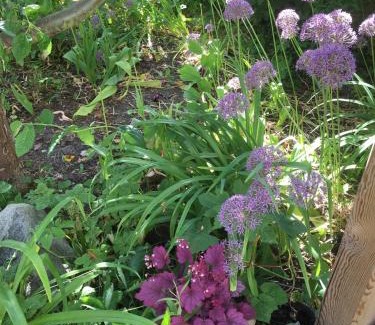 Centrala staden Apartamento | The Garden House