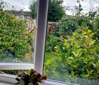 Stamford Casa | The Garden Room