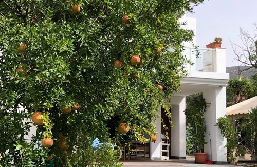 Terra Mala Villa | la puerta al mar