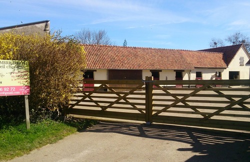 Saint-Martin-Choquel Cabaña | El Nature House está dentro de nuestra granja de caballos, entre los animales
