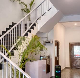 Bail Parao Casa | The Golden Mango