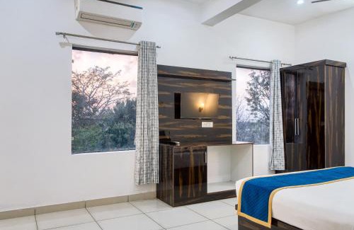 Bail Parao Casa | The Golden Mango