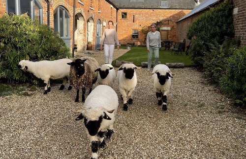 New Forest District Apartamento | The Grain loft at Warborne Farm
