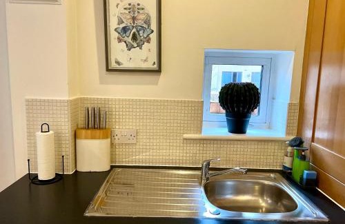 Cambridge Apartamento | The Grapevine