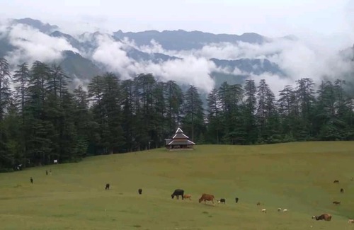 Ani Casa | The Great Himalayan Hikes