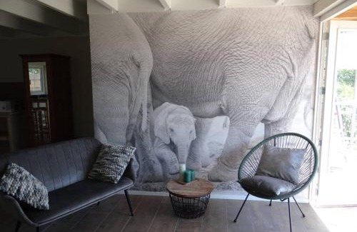 Ruinen Casa | The Green Cottage