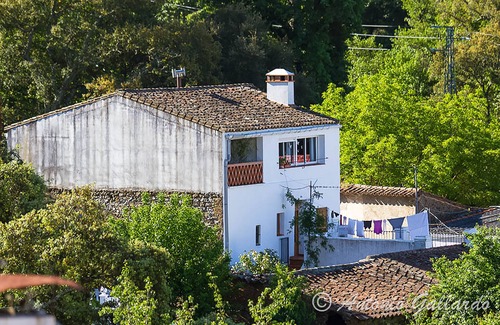 Jabugo Cabaña | La Rana Verde, familias con niños, naturaleza, senderismo, gastronomía, cultura.