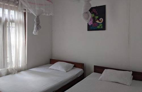 Inamaluwa Casa | The Green Harmony