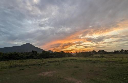 Tiruvannamalai Apartamento | The Green House