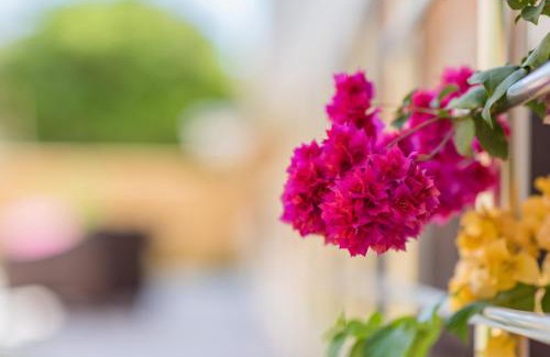 Oyster Bay Apartamento | The Green of Oysterbay