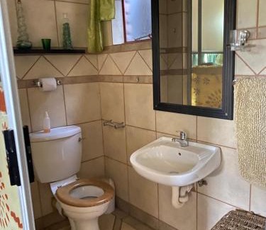 Phalaborwa Apartamento | The green room