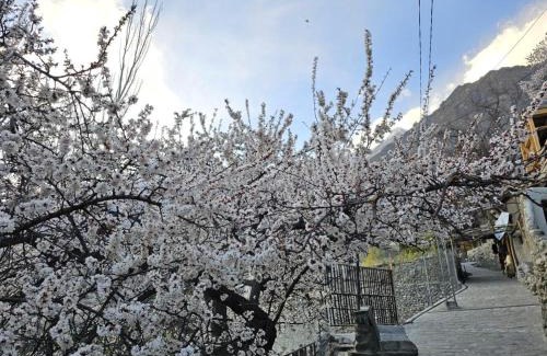 Karimabad Complejo | The Guest House Hunza