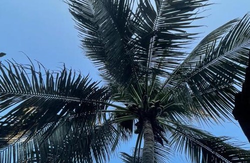 Alibaug Cama Y Desayuno | The Gunjal's Home Stay