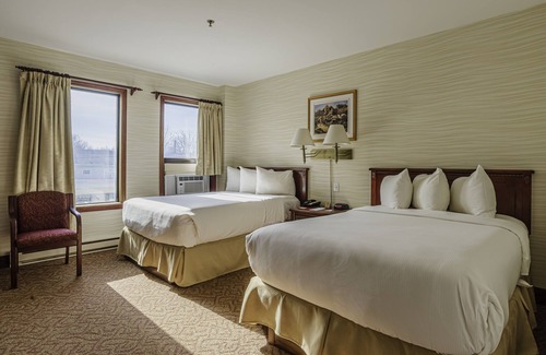 Terra Nova Hotel | The Guv’nor