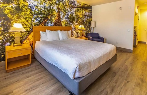 Hanford Hotel | Comfort Inn Hanford Lemoore