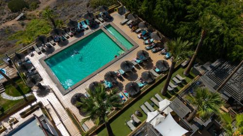 Los Gigantes Apartamento | The Harbour Club