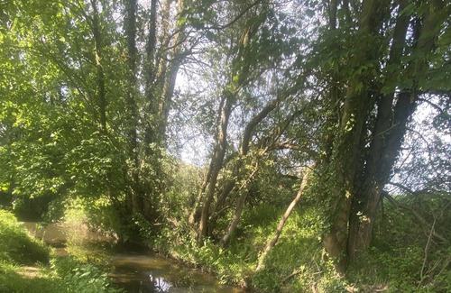 Bury St Edmunds Otro | The Hares Retreat Suffolk, pet Friendly!
