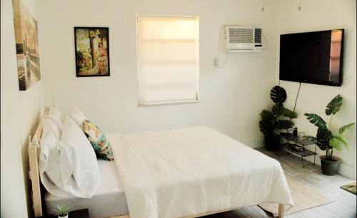 West Little Havana Apartamento | The Havana Nights Guesthouse - Private Stay with Free Parking in the Heart of Miami