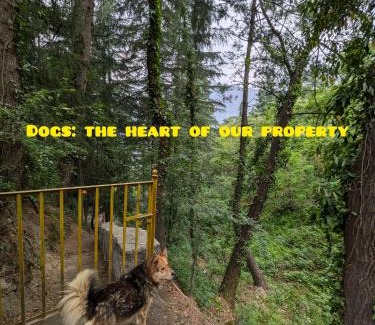 Naggar Apartamento | The Heavens Place