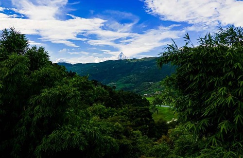 Pokhara Cabina | The Hidden Camp