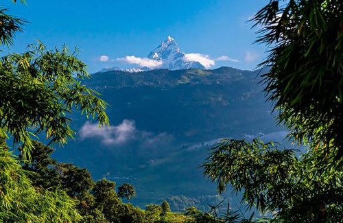 Pokhara Cabina | The Hidden Camp