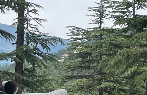 Kalpa Casa | The hidden heaven homestay kalpa