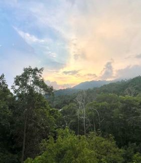 Bukit Tinggi Apartamento | The Hillview inn Meranti Park Suites