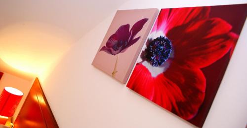 Harrow Casa | The Hindes Hotel