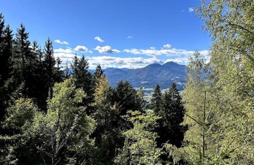 Slovenj Gradec Apartamento | The house at the larssen