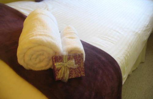 Cambridge Cama Y Desayuno | The Holly Tree